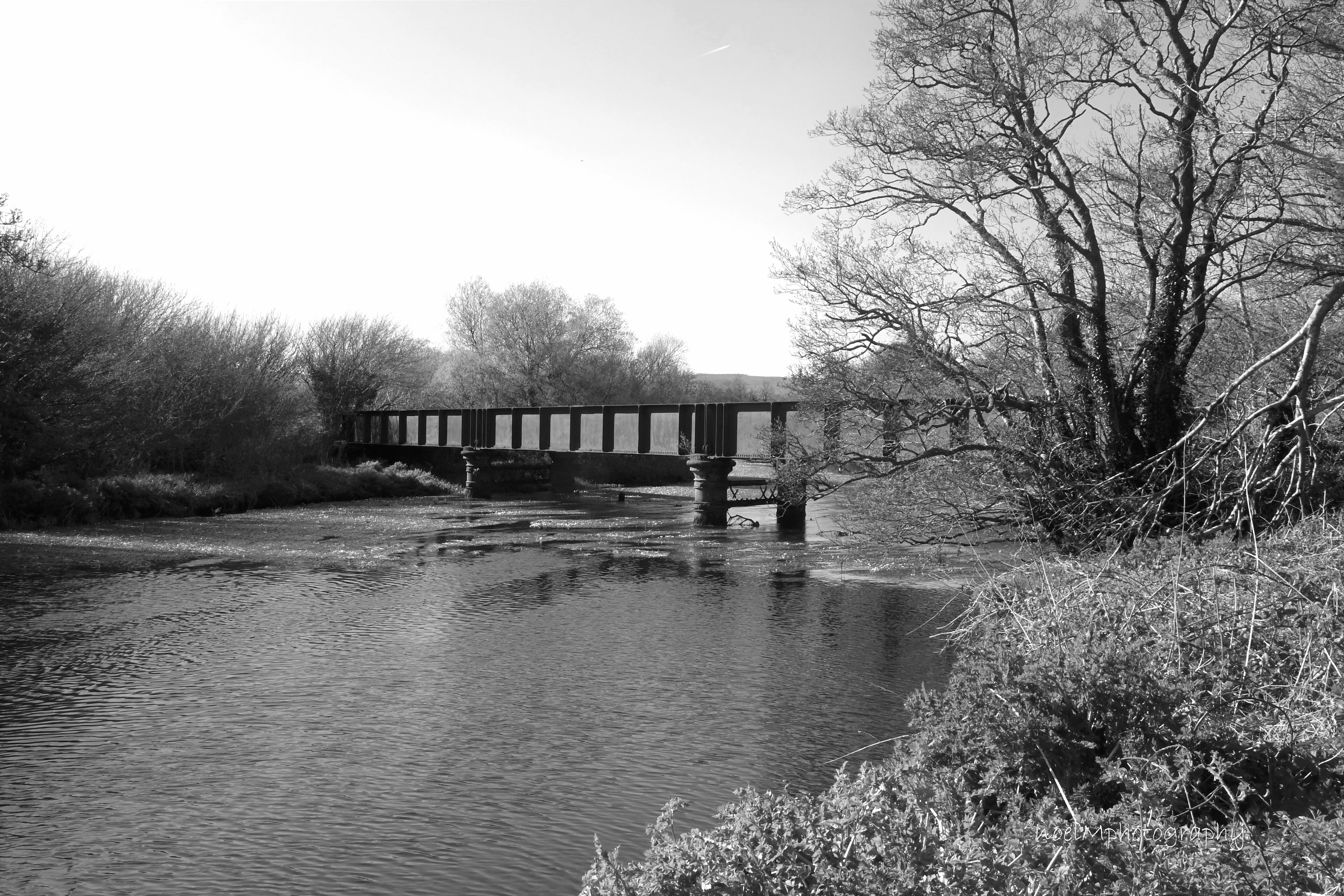 Historic Pile Bridge